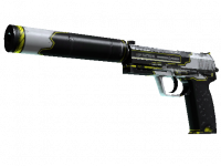 USP-S Torque